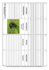 Faltbuch-Steckbrief-Gorilla-2.pdf